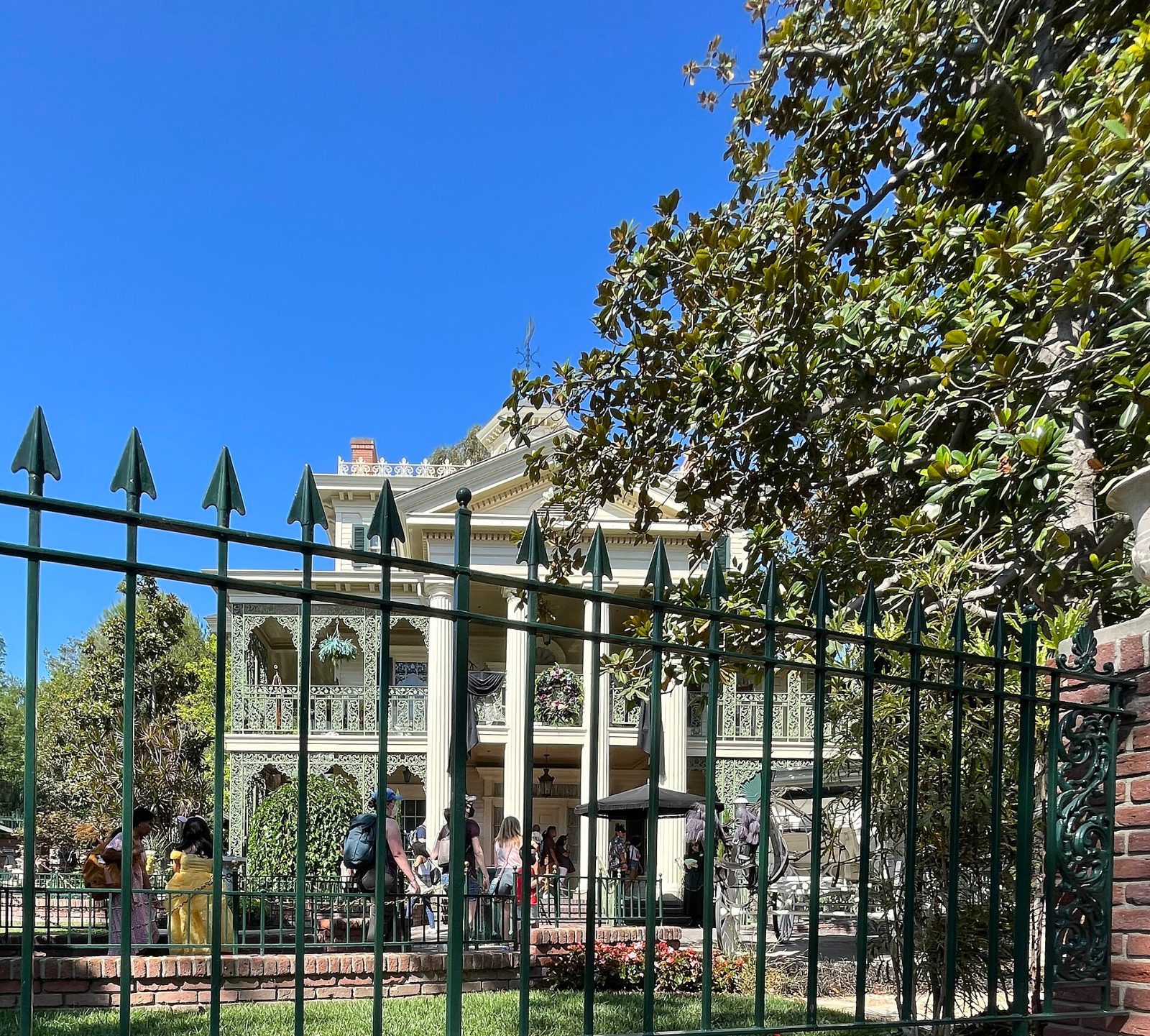 The mansion seen through the iron fence and magnolia branches